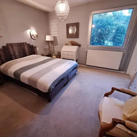 Проживание в семье Woodland's House *